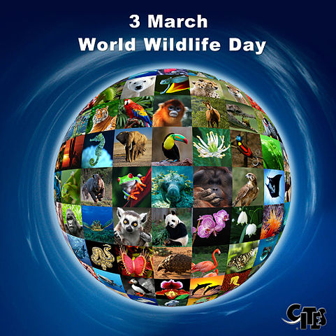 World_Wildlife_Day_poster
